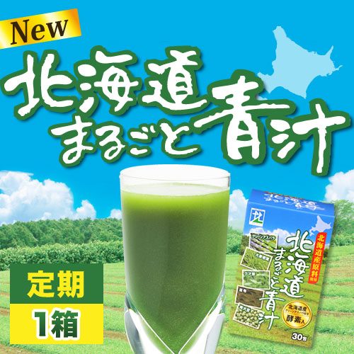  NEW【定期】北海道まるごと青汁1箱